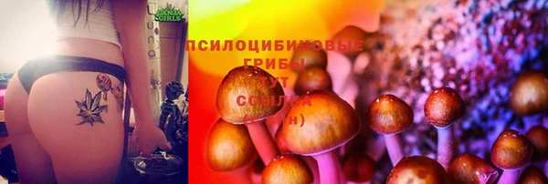 гашик Балабаново